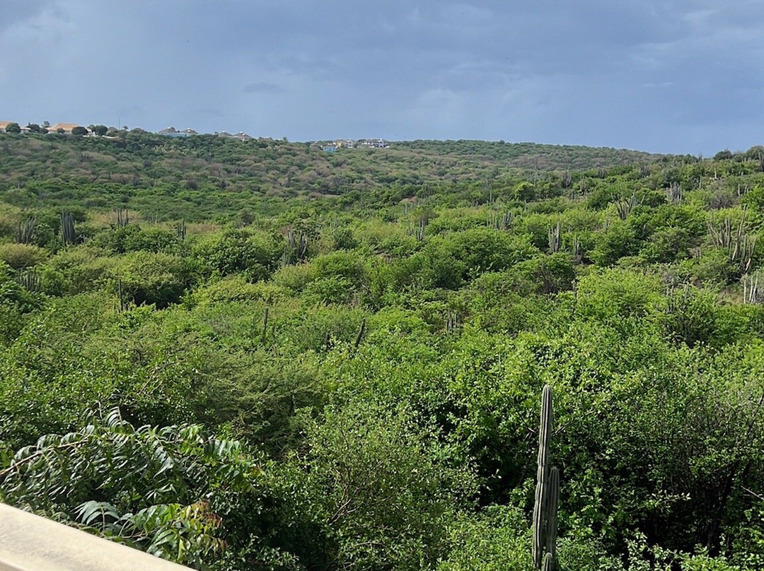 Home Sweet Home Mini Resort Curacao主图