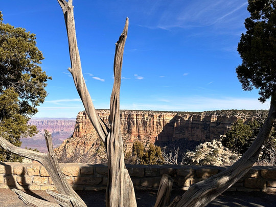 Grand Canyon Adventures-弗拉格斯塔夫必去景点