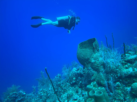 Shaggy's Personalised Diving-西湾必去景点