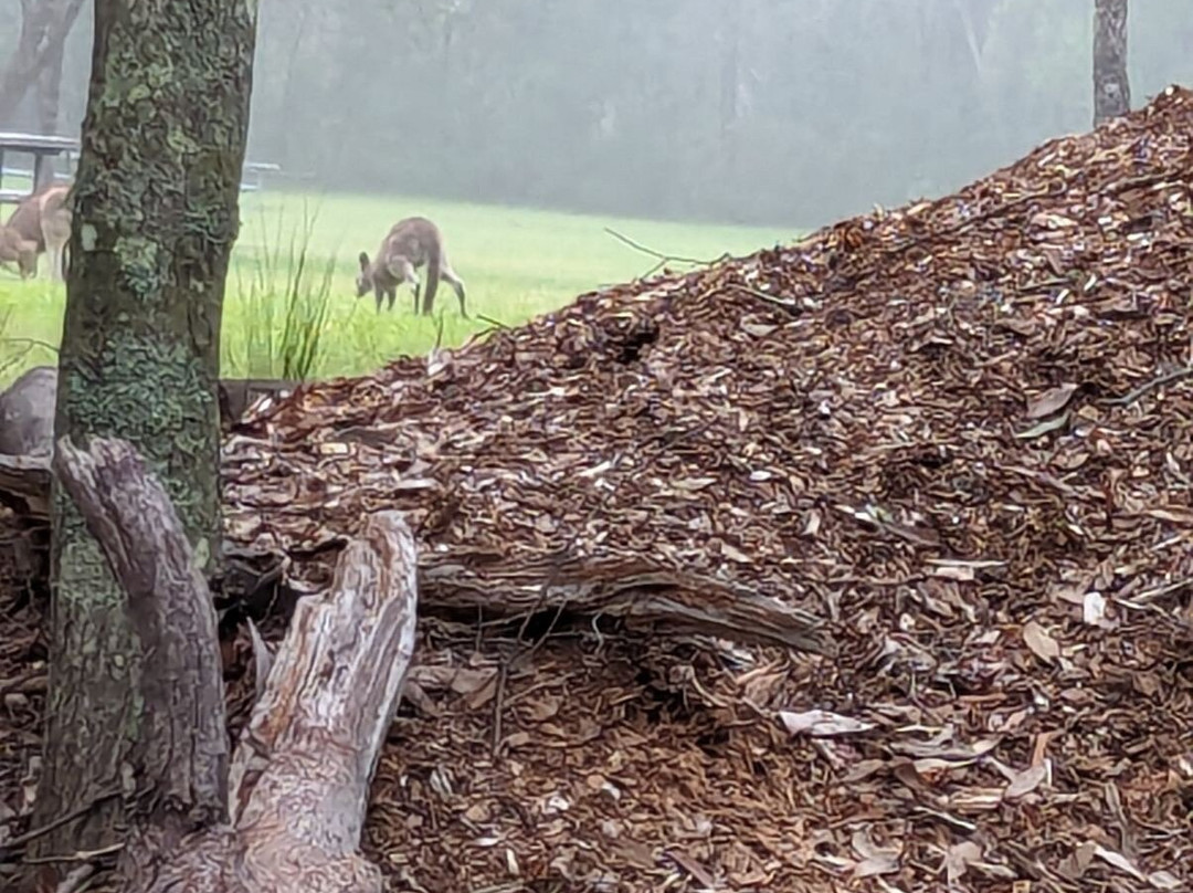 Bundanoon Country Inn Motel主图