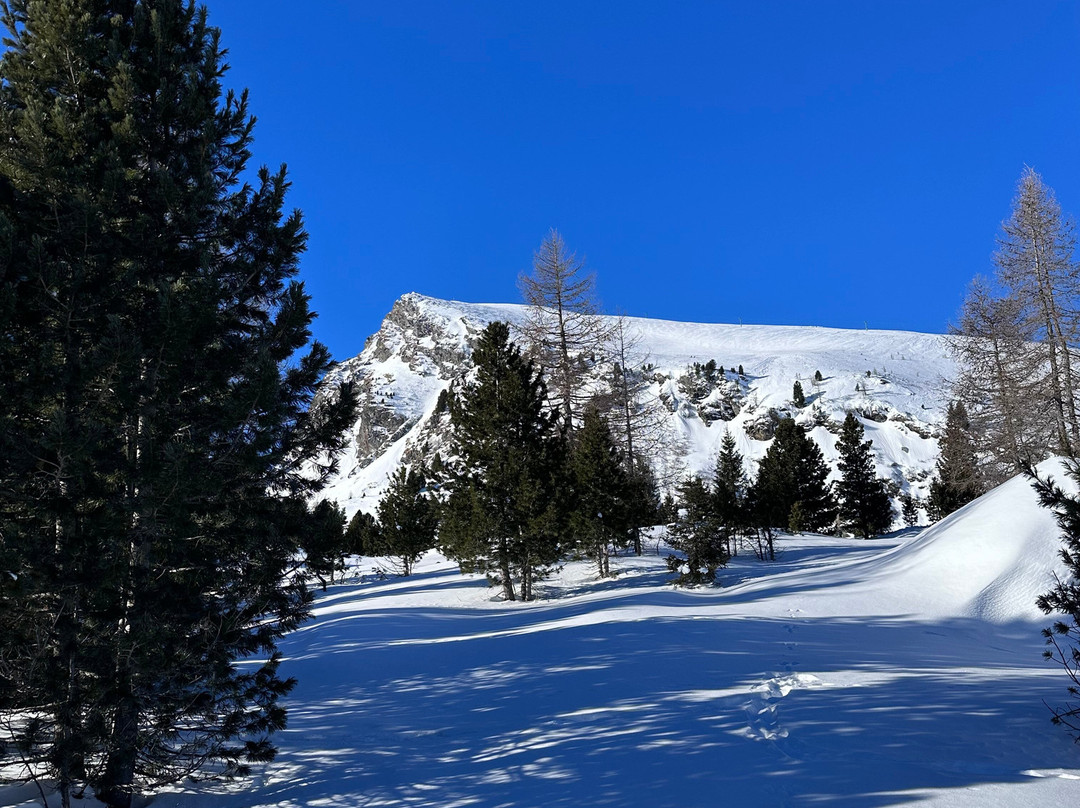 Heidi-Hotel Falkertsee主图