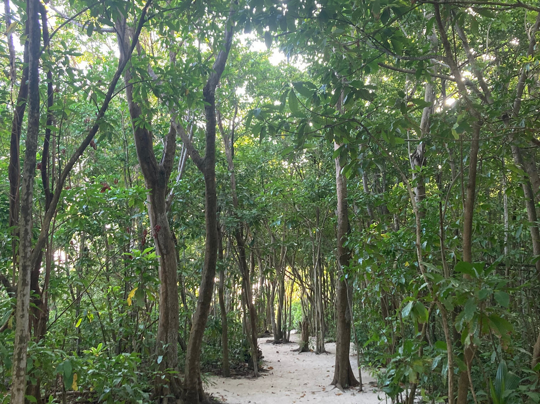 H2Outfitters-奥尔岛必去景点