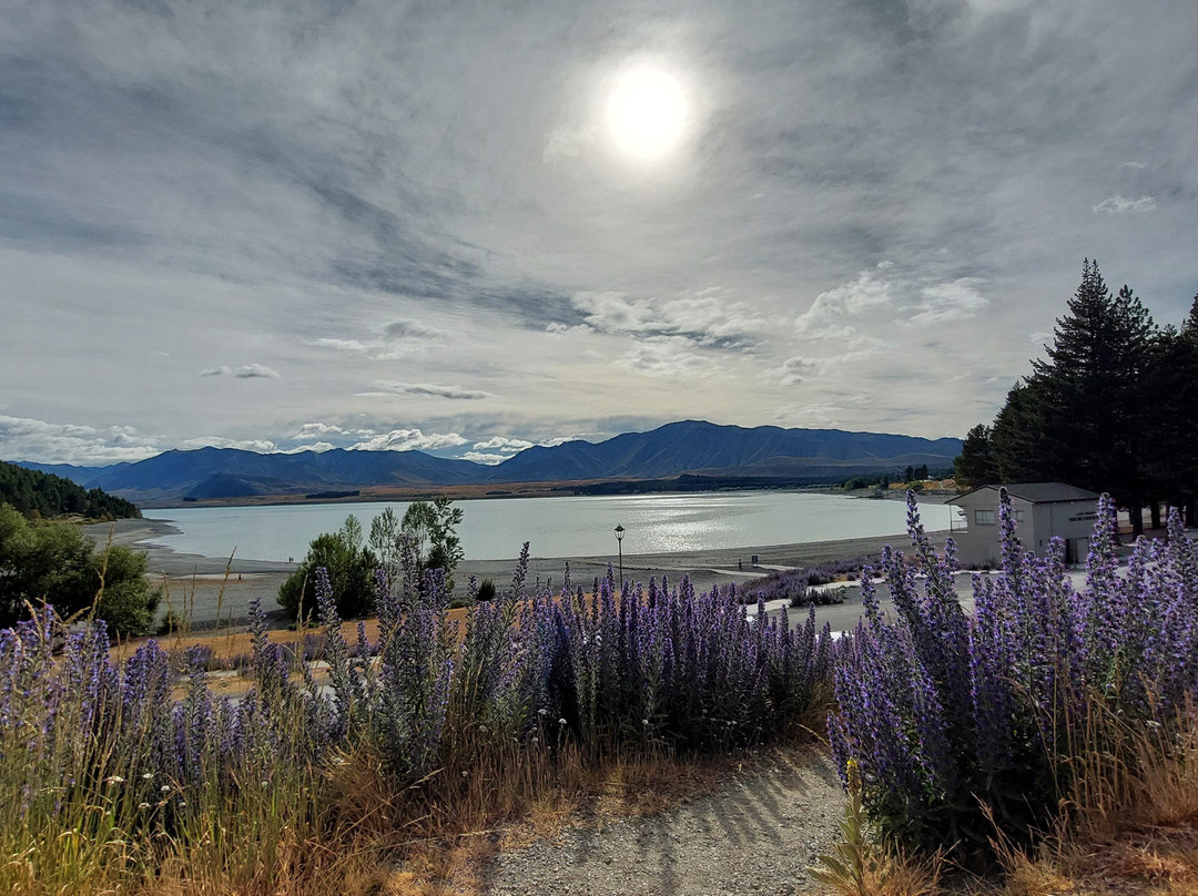 Detour-奥克兰必去景点