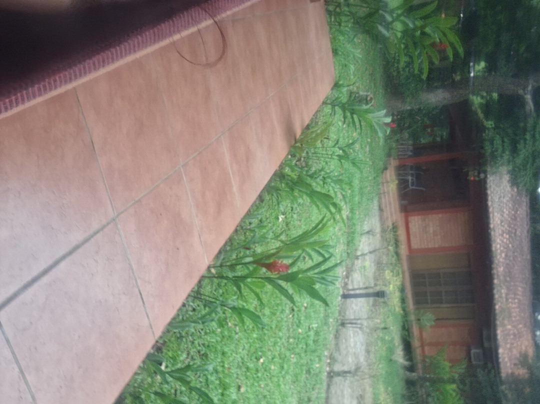 DM Hoteles Tarapoto主图