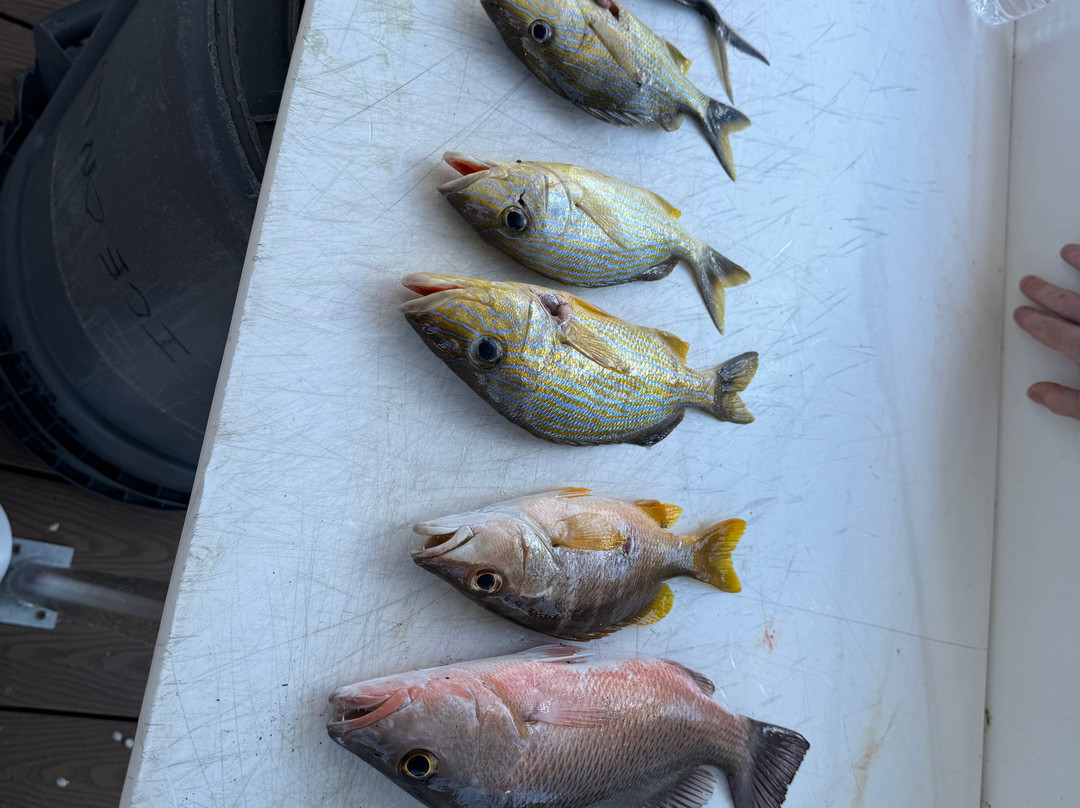 Spear It Key West-基韦斯特必去景点