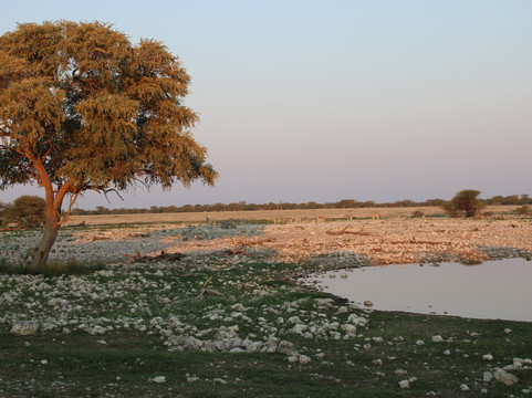 Safari World Tours-温德和克必去景点