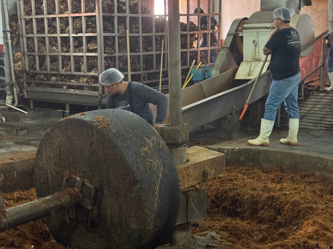 Forteleza-特基拉必去景点