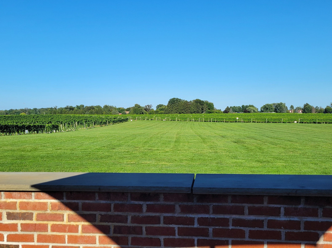 Working Dog Winery-东温莎必去景点