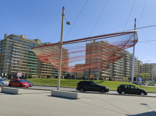 She Changes (The Anemone)-波尔图必去景点