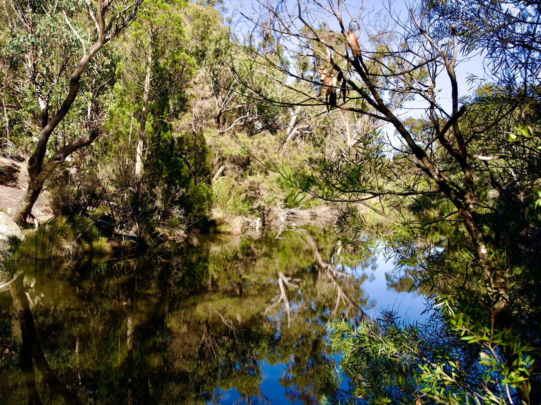 Girraween National Park景点图片