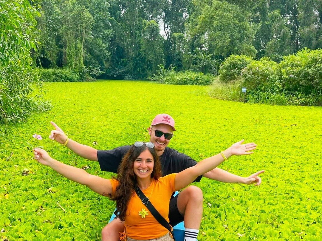 Mekong Realism-芹苴必去景点