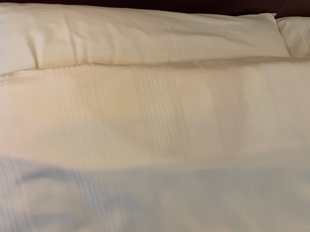 普瑞米尔斯旺雷酒店主图