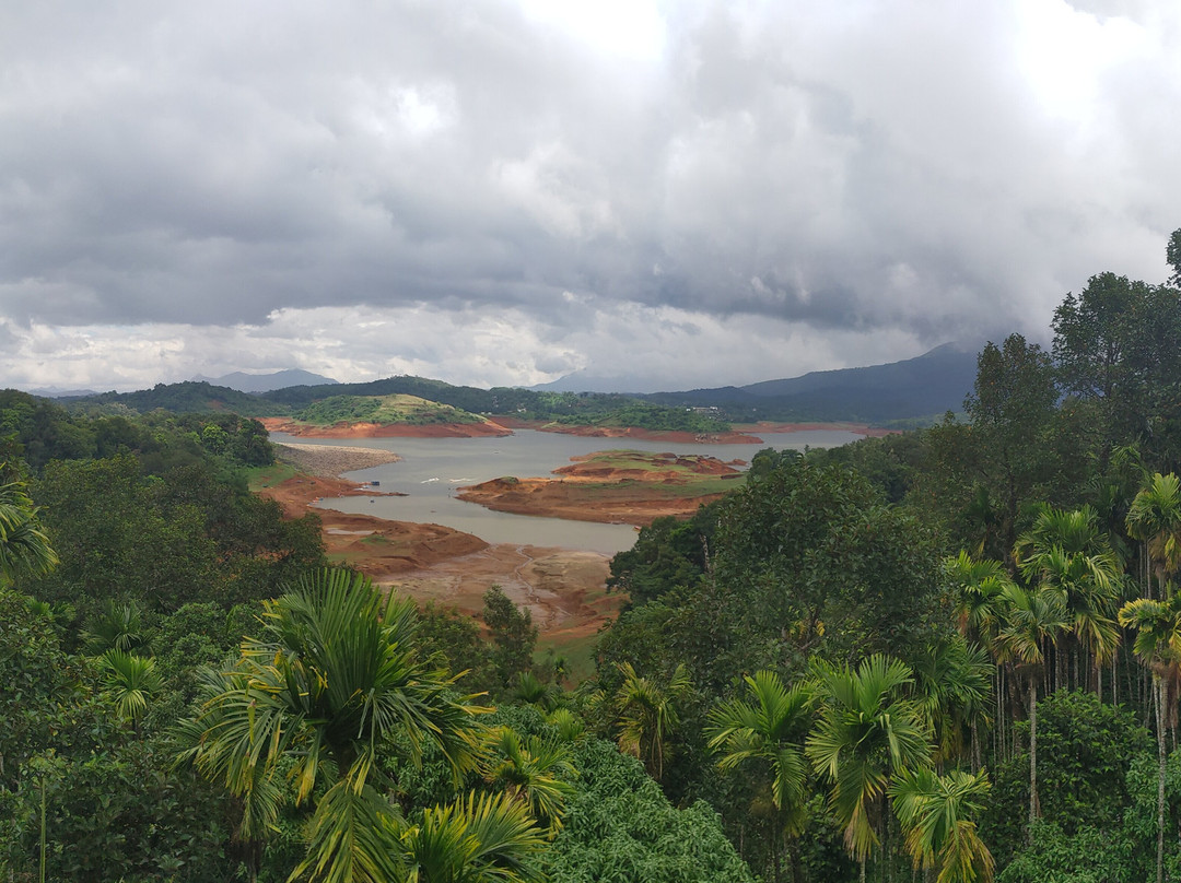 Bonita Banasura主图