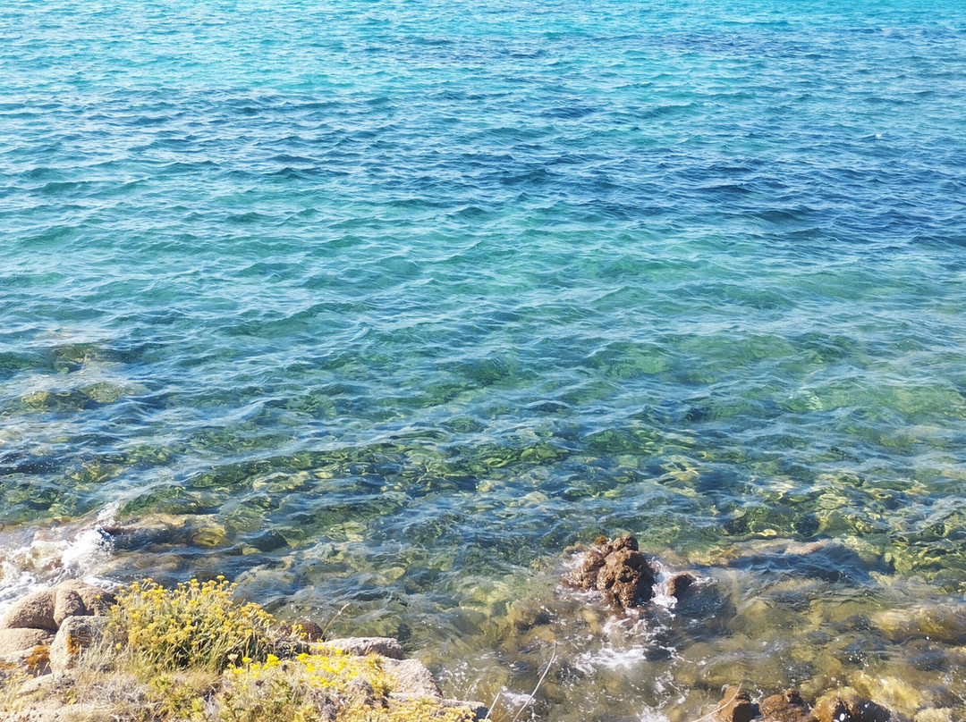 Golfo di Arzachena-Arzachena必去景点