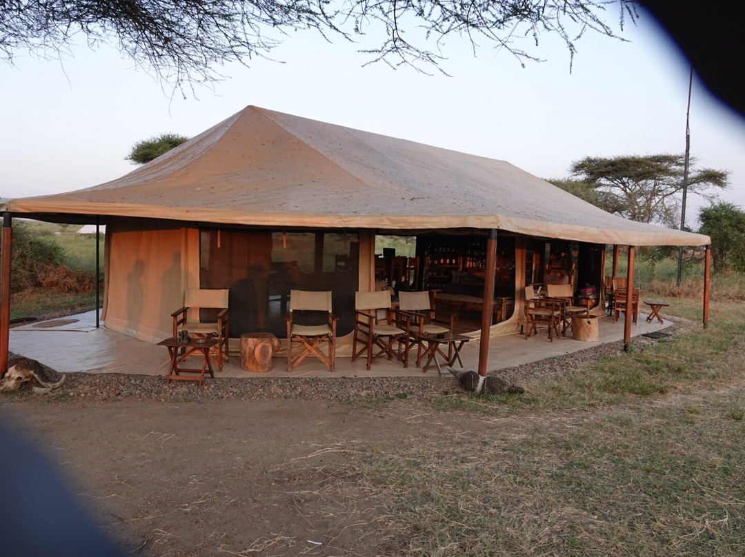 Tanzania Juvenile Safaris-阿鲁沙必去景点