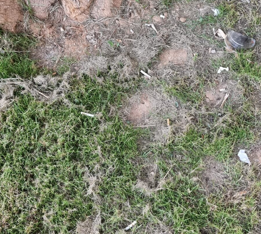 Concorde Green Park Palace主图