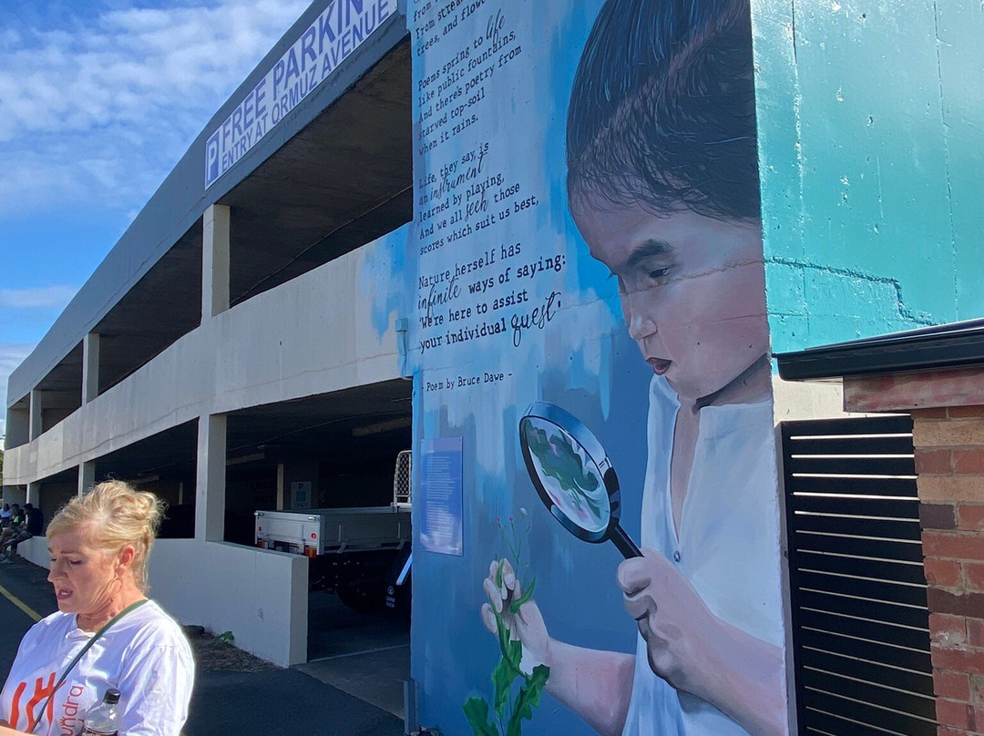 Caloundra's Street Art Walking Tour-卡伦德拉必去景点