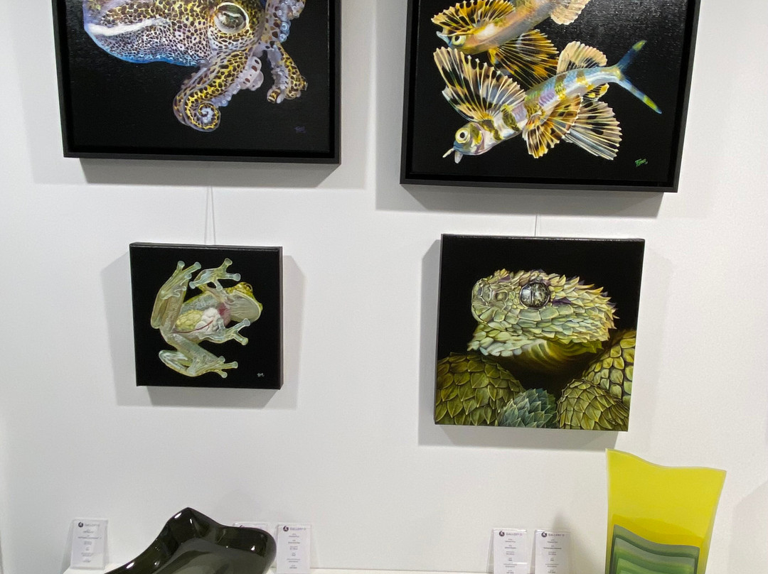 Gallery O景点图片