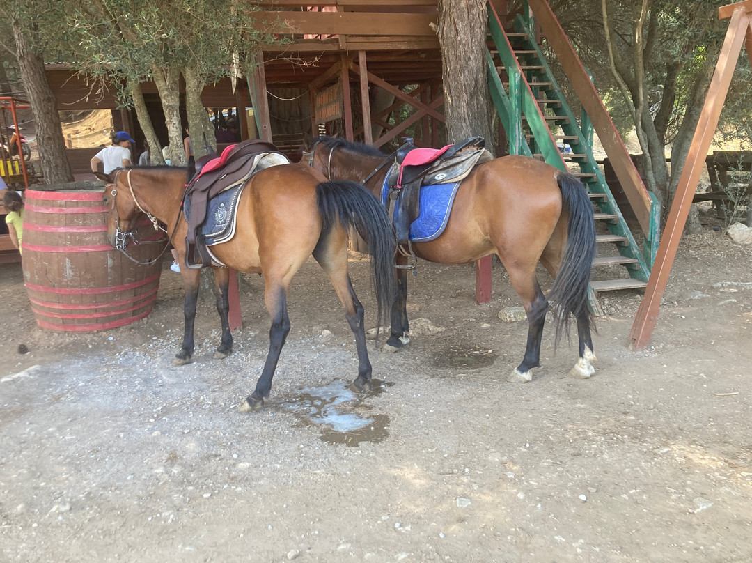 Panouris Ranch-Samos Town必去景点