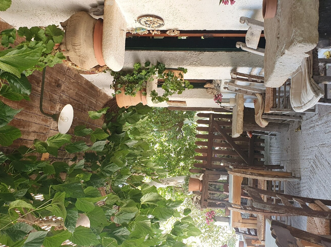 Wild Herbs of Crete景点图片