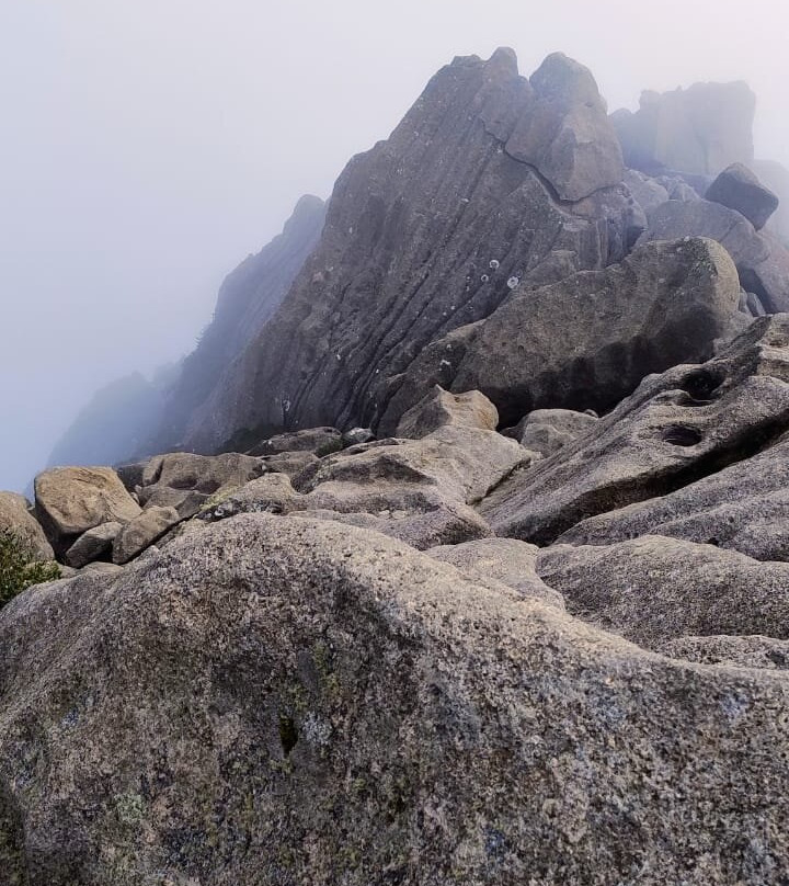 Pico das Agulhas Negras景点图片