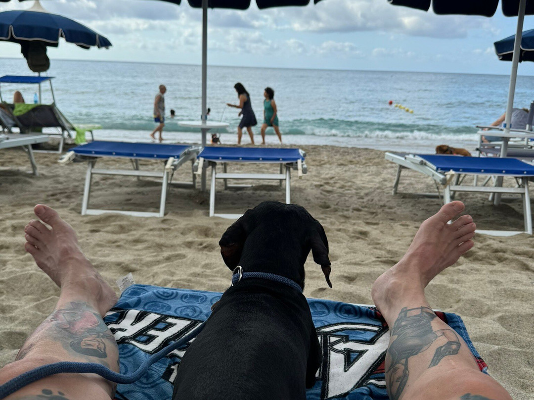 Spiaggia Ex Soggiorno Leonessa-彼得拉－利古雷必去景点