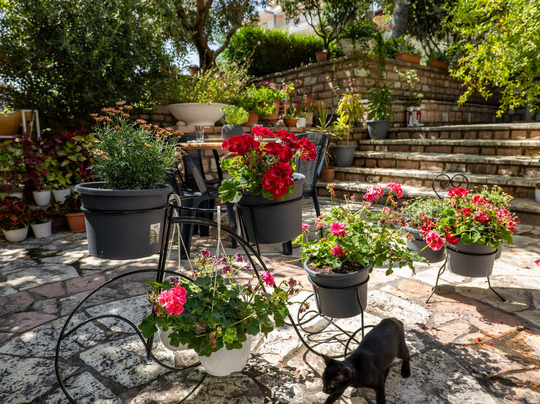 Finiq酒店住宿-Villa Green Garden