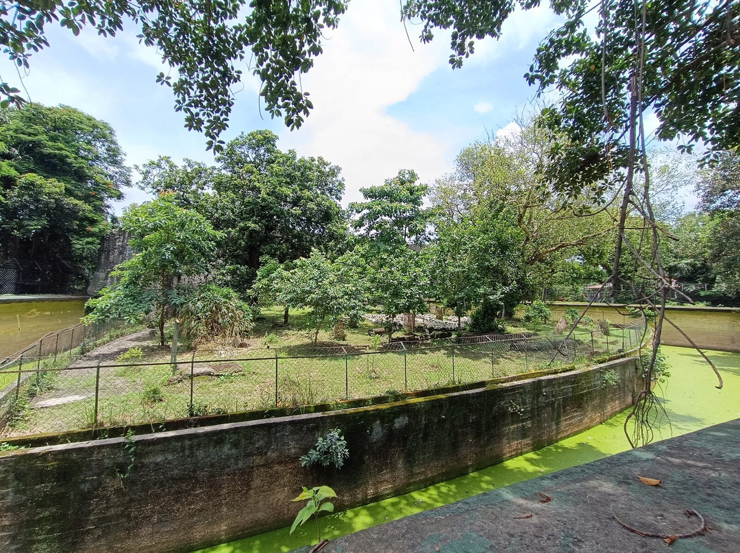 Kolkata Zoo & Zoological Garden景点图片
