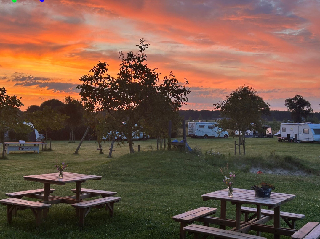 Camping De Eikelaar