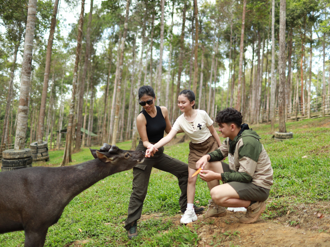 Panbil Nature Reserve景点图片