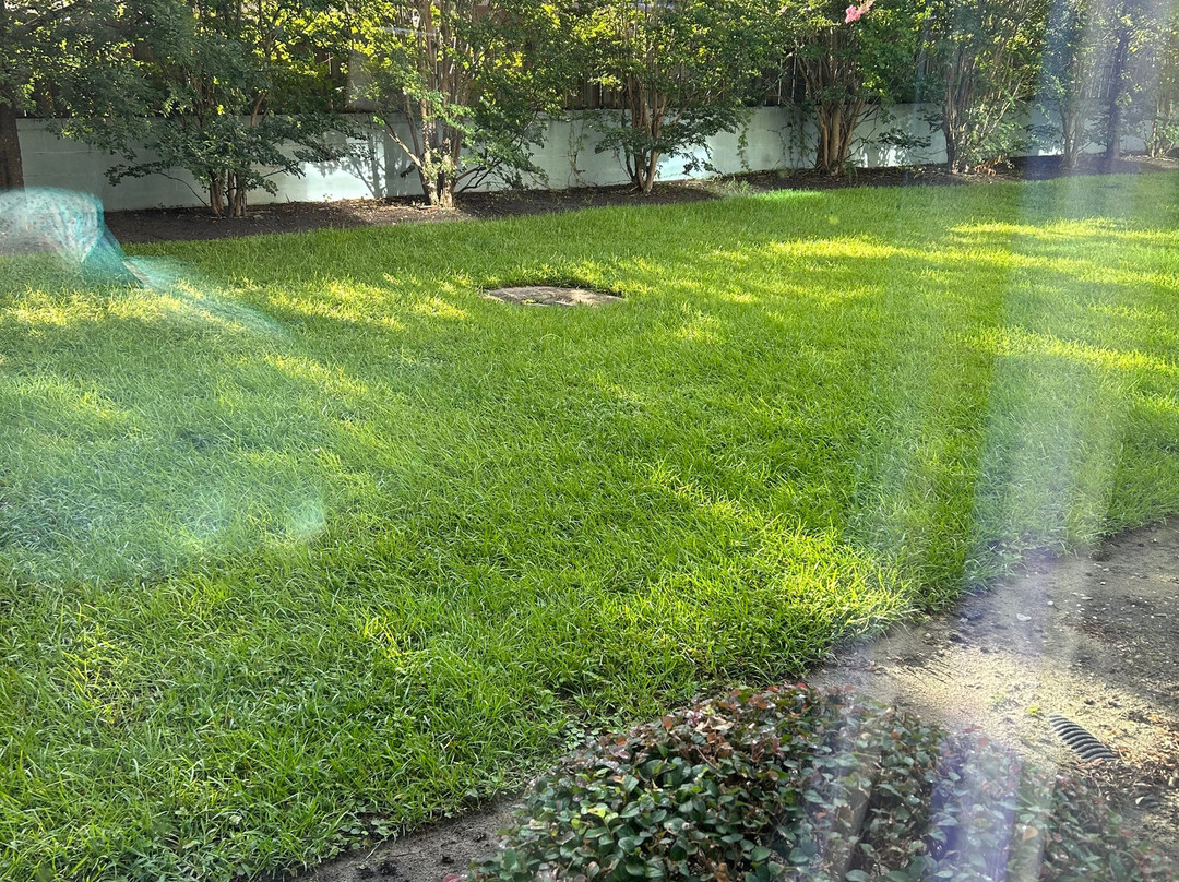 Best Western Plus Hardeeville Inn & Suites主图