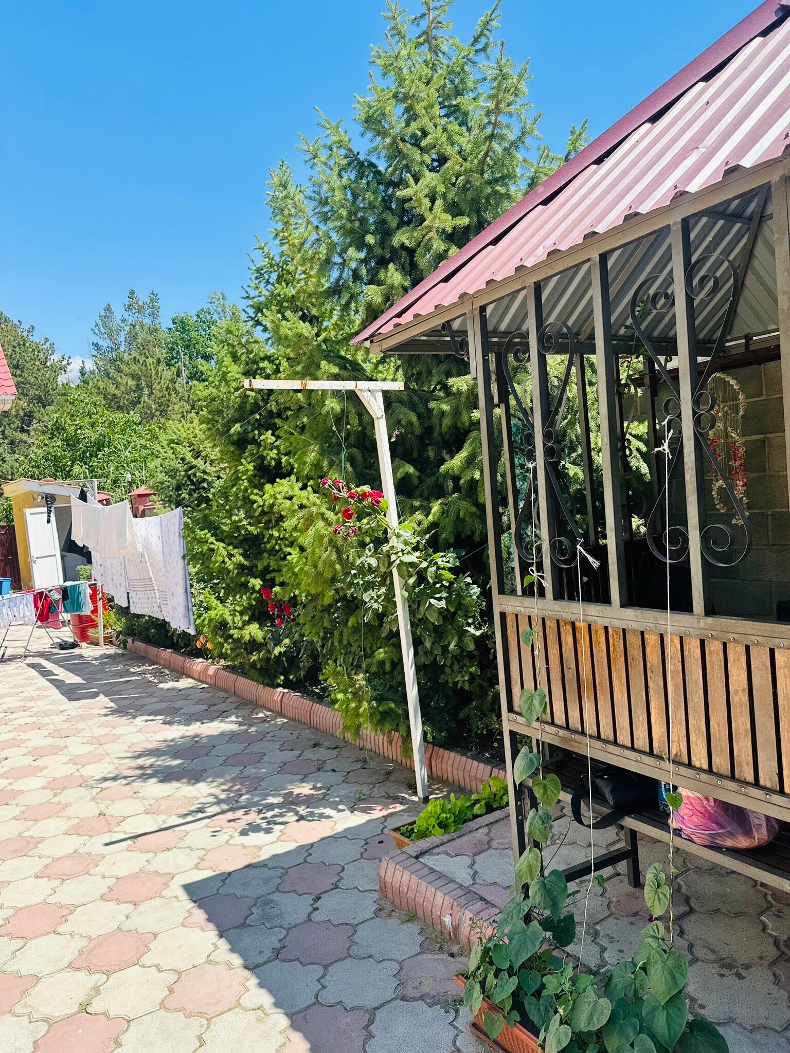 Tan Nuru Guest House-官方