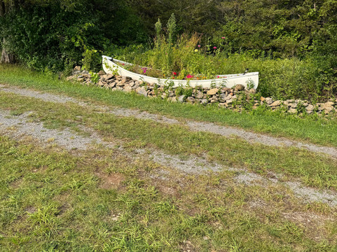 Violet Hill Lavender Farm-皮克顿必去景点