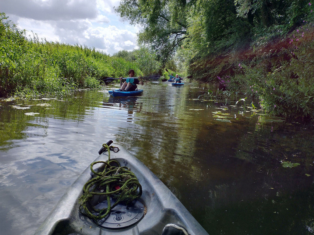 Go Paddle景点图片