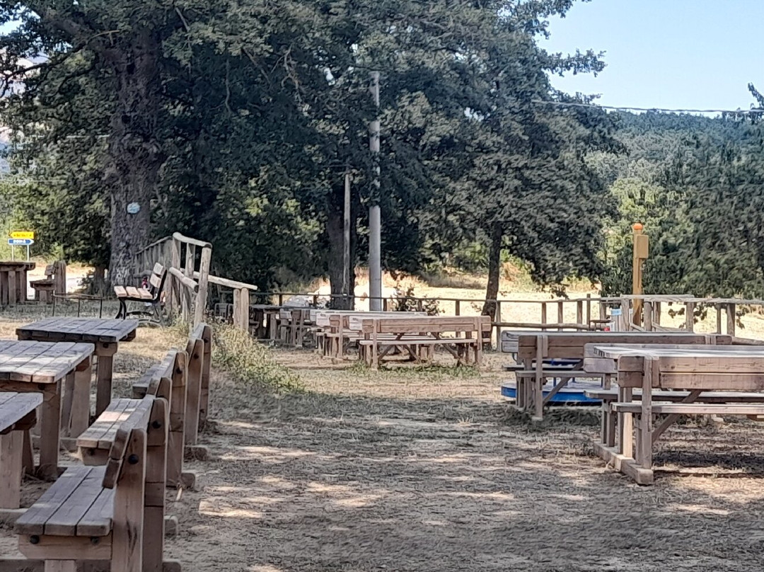 Casale Nibbi Azienda Agricola景点图片