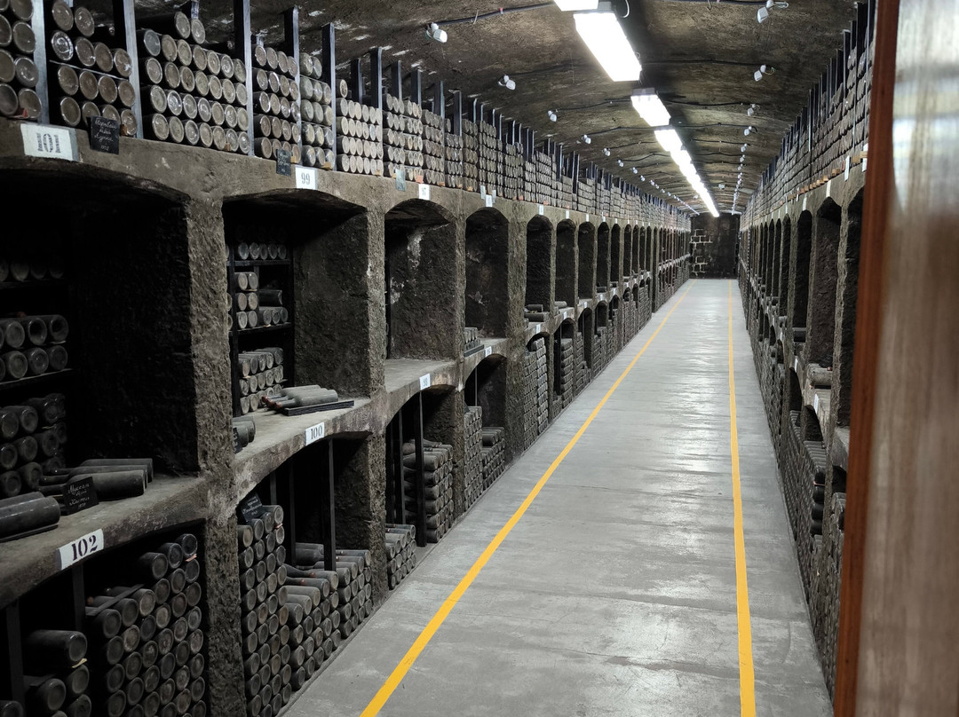 Massandra Winery-Massandra必去景点