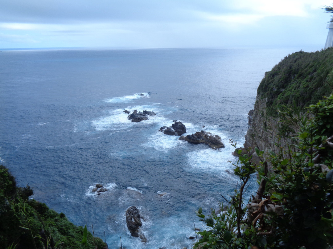Cape Ashizuri-土佐清水市必去景点