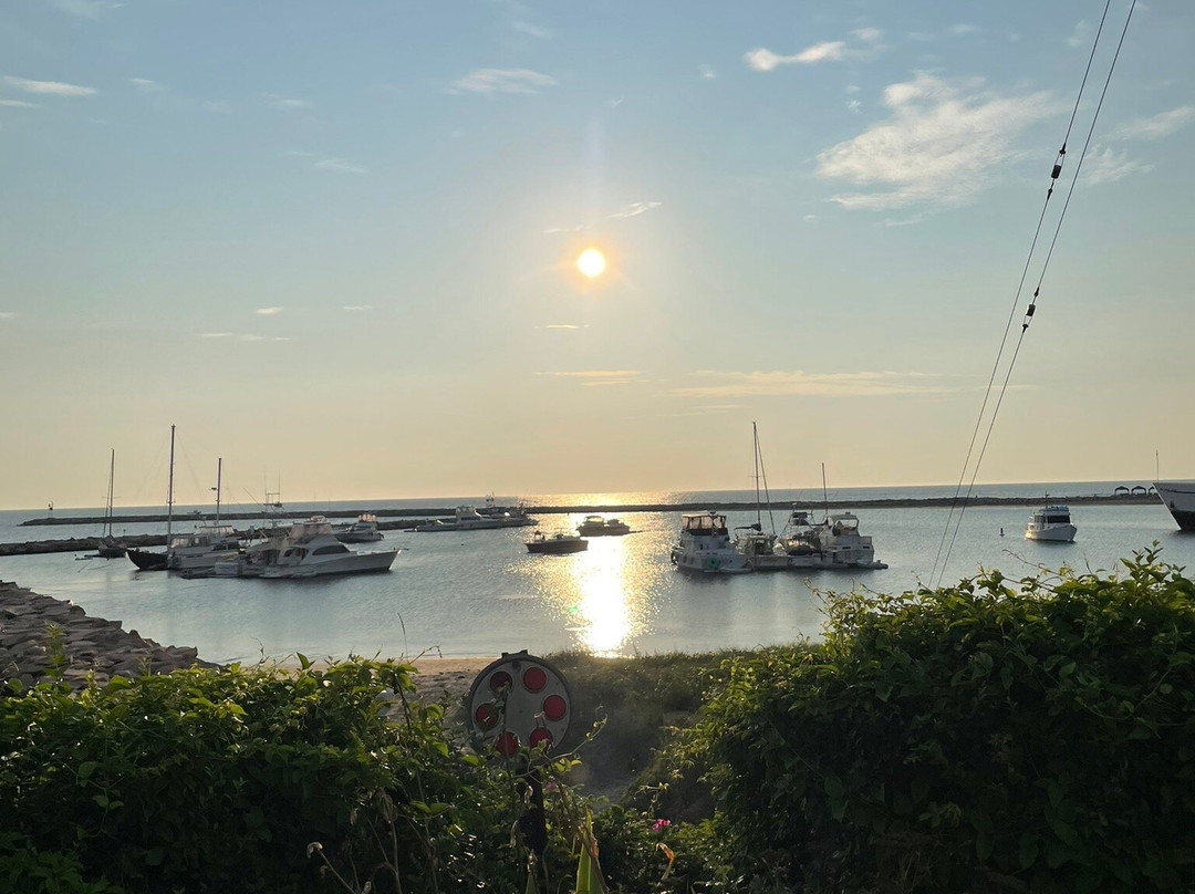 The National Hotel主图