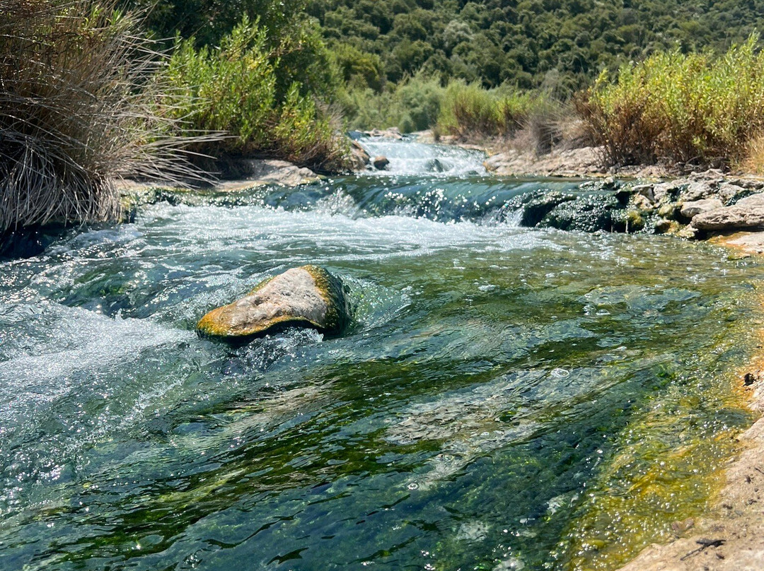 Thermopyles Hot Springs-Thermopylae必去景点