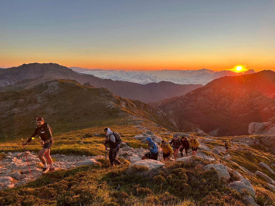 Couleur Corse-阿雅克肖必去景点