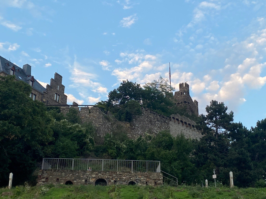 Burg Klopp景点图片