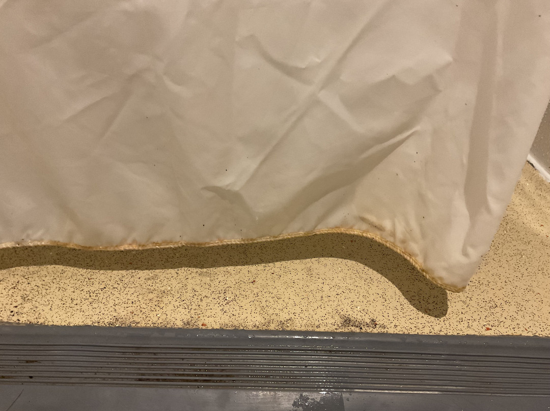 Village club Le Saint Ignace主图