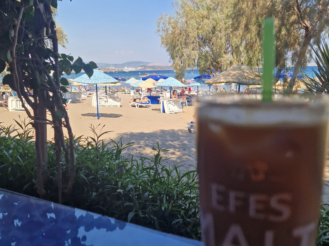 Camel Beach景点图片