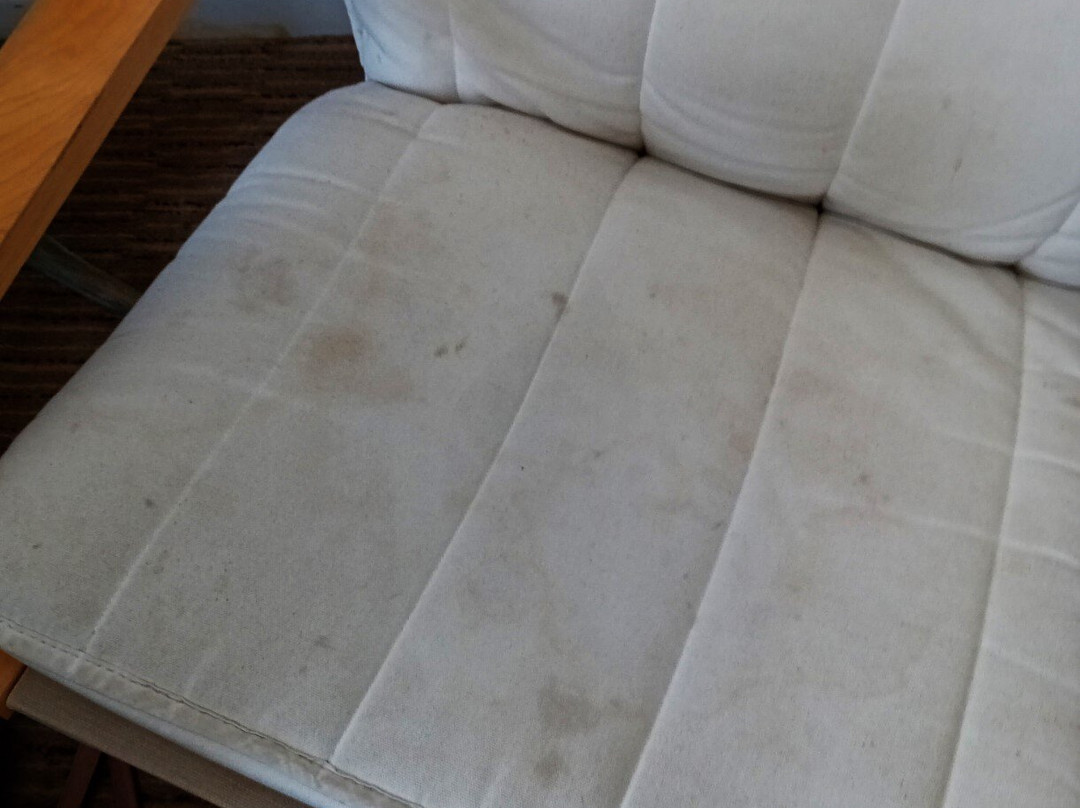 The Willow House主图