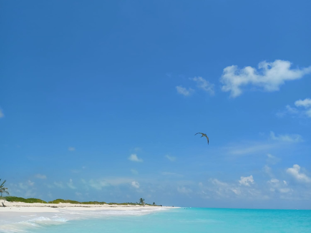 Isla Blanca-坎昆必去景点