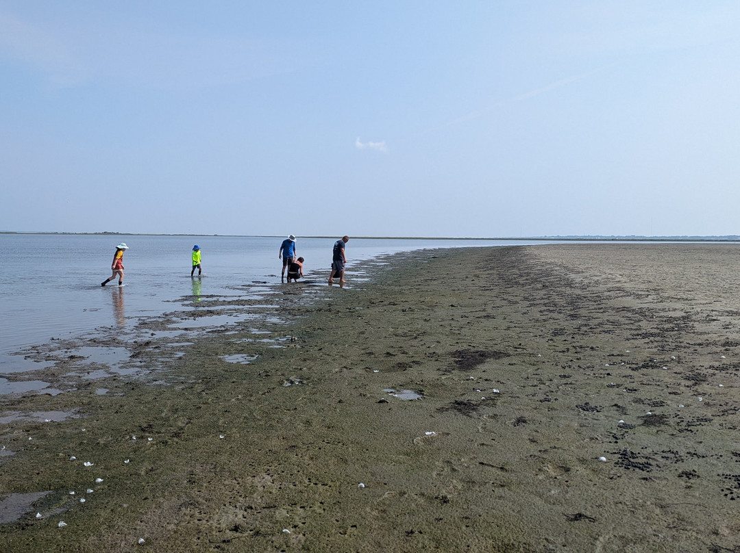 Fish Tales Fishing Charters-钦科蒂格岛必去景点