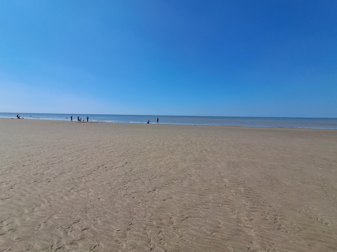 Strand Zeebrugge-泽布鲁日必去景点