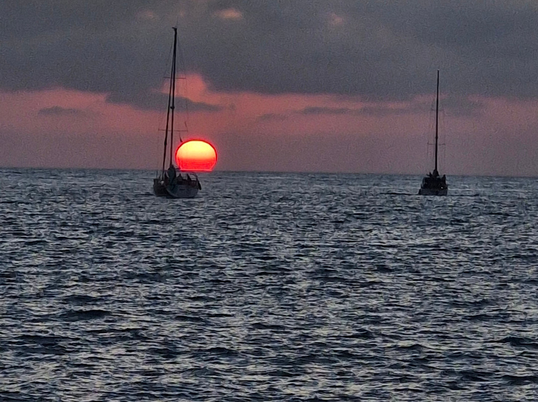 Albarco Com Calidad Nautica-加的斯市必去景点