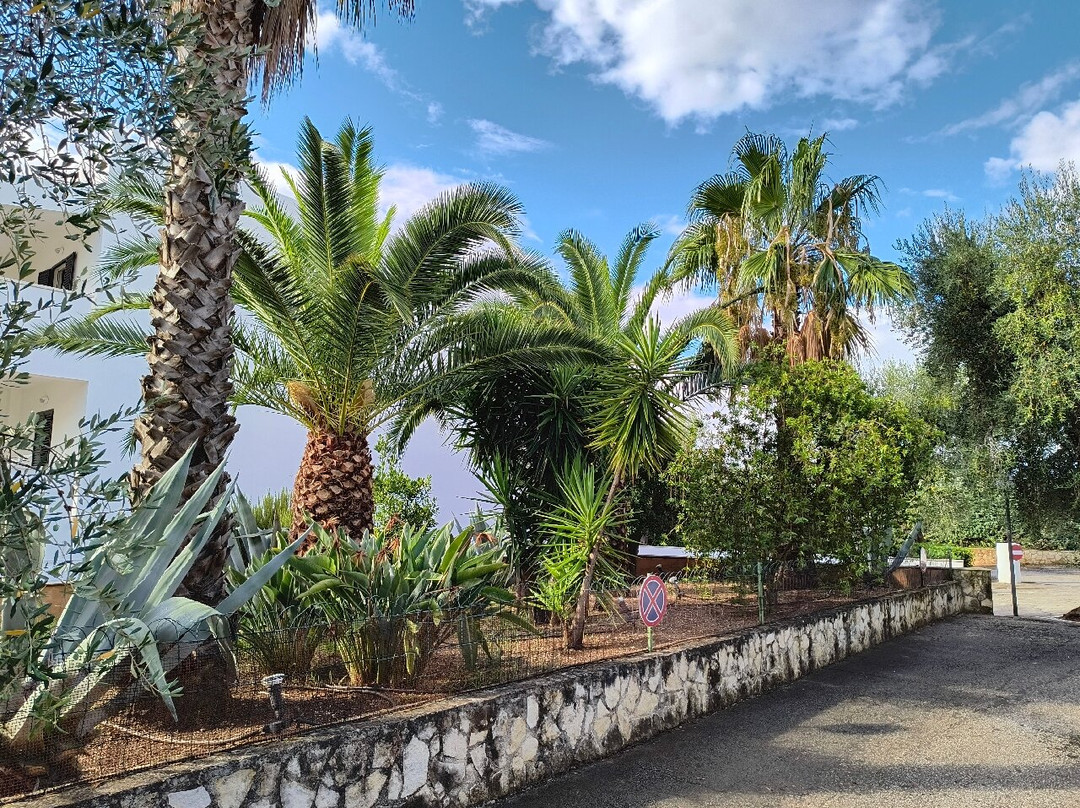 Hotel Palme Gemelle主图