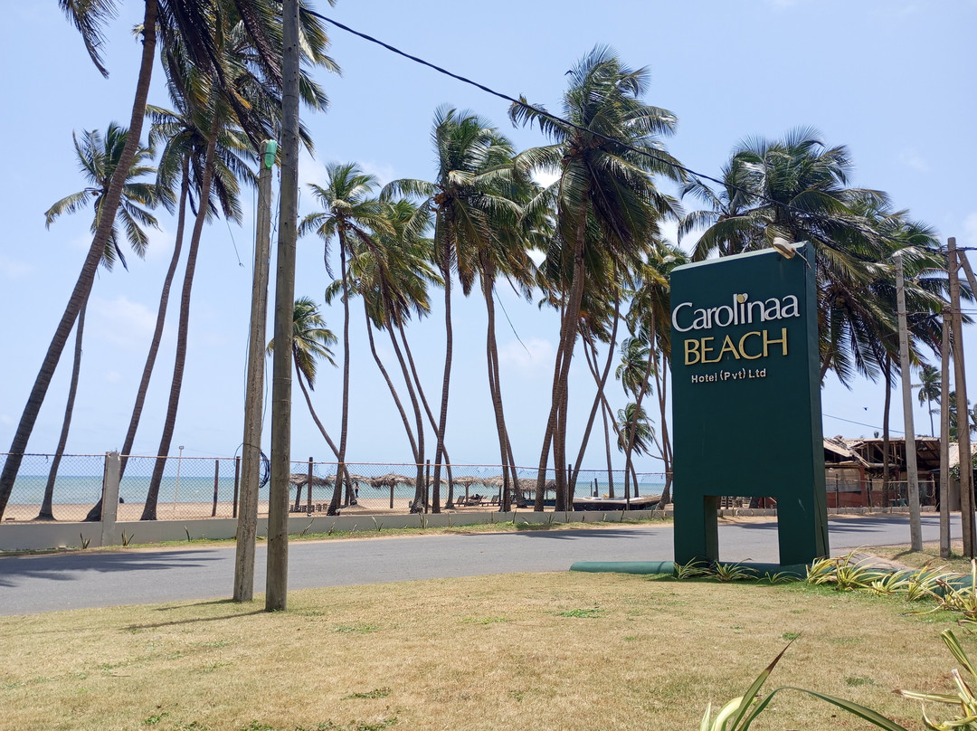 Carolina Beach Resort & Spa主图